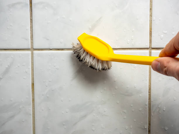 Best Attic Mold Removal  in Lockhart, TX