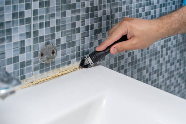Best Office Mold Removal Services  in Lockhart, TX